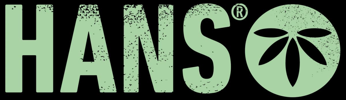 HANS Brainfood logo